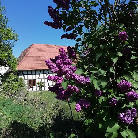 Gite Rue De L'Ange Hunspach ภายนอก รูปภาพ