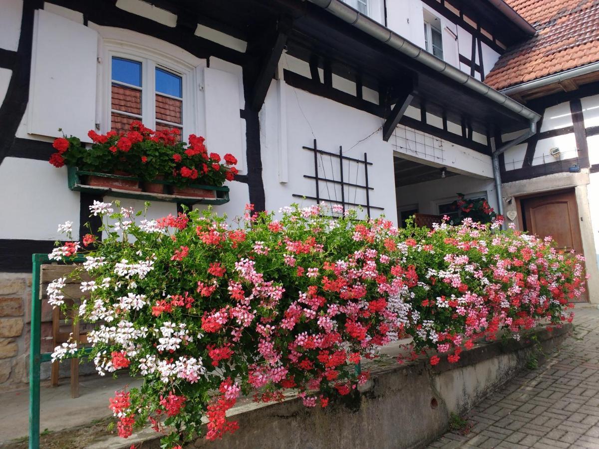 Gite Rue De L'Ange Hunspach ภายนอก รูปภาพ