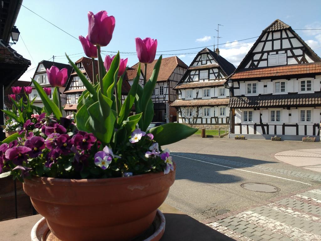 Gite Rue De L'Ange Hunspach ภายนอก รูปภาพ